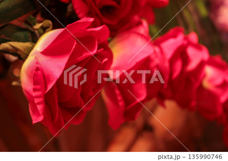 Close-up of the artificial roses. Flower and plant concept. Close-up of the artificial roses. Flower and plant concept. 135990746