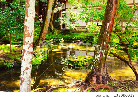 法然院の日本庭園　 135990918