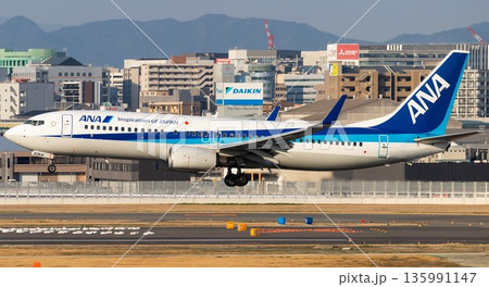 ANA B737-800伊丹空港離陸 ANA B737-800伊丹空港離陸 135991147