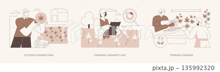 Commercial cannabis growing isolated cartoon vector illustrations se Commercial cannabis growing isolated cartoon vector illustrations se 135992320