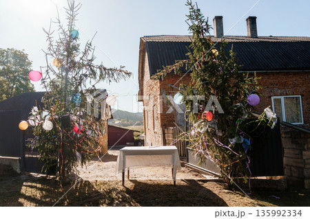 Decorated Christmas Trees with Balloons and Ribbons Outside a Rustic Brick House on a Sunny Day Decorated Christmas Trees with Balloons and Ribbons Outside a Rustic Brick House on a Sunny Day 135992334