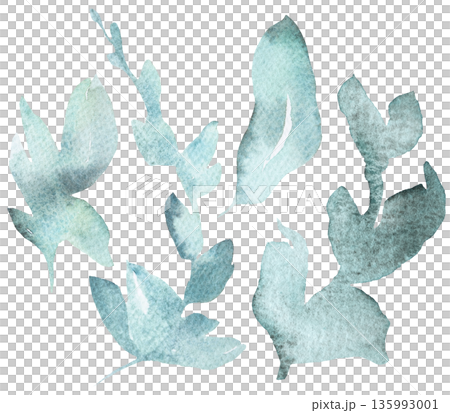 Watercolor light green leaves isolated illustration, pastel wedding stationery element Watercolor light green leaves isolated illustration, pastel wedding stationery element 135993001