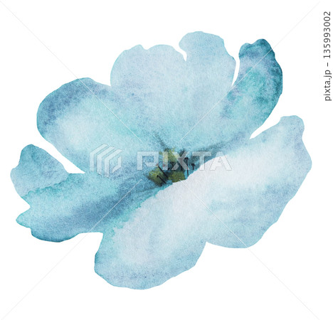 Watercolor light blue flower, isolated illustration, floral wedding and party stationery element Watercolor light blue flower, isolated illustration, floral wedding and party stationery element 135993002