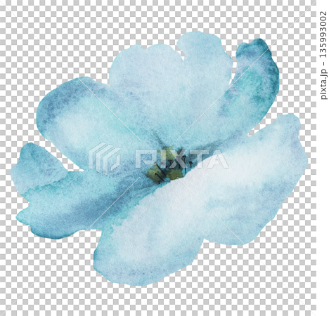 Watercolor light blue flower, isolated illustration, floral wedding and party stationery element Watercolor light blue flower, isolated illustration, floral wedding and party stationery element 135993002