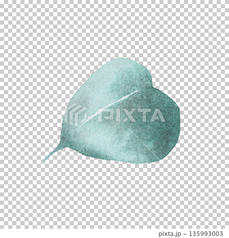 Hand painted watercolor green eucalyptus leaf, botanical isolated illustration. Plant element Hand painted watercolor green eucalyptus leaf, botanical isolated illustration. Plant element 135993003