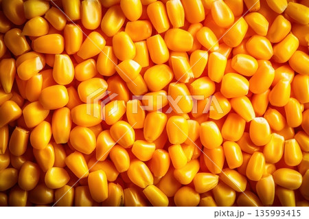 Close-Up View of Bright Yellow Corn Kernels Filling the Frame for Culinary and Agricultural Use Close-Up View of Bright Yellow Corn Kernels Filling the Frame for Culinary and Agricultural Use 135993415