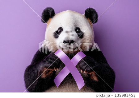 Chubby Giant Panda Softly Holding a Pink Ribbon Against a Purple Background Chubby Giant Panda Softly Holding a Pink Ribbon Against a Purple Background 135993455