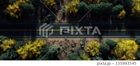 Aerial View of Straight Asphalt Road Surrounded by Lush Greenery and Yellow Foliage 135993545