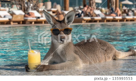 Kangaroo Reclining by Poolside in Resort Style, Enjoying a Refreshing Drink in the Sun 135993553