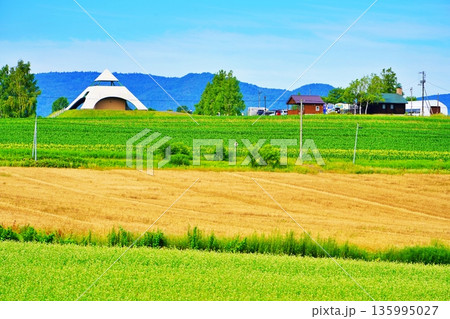 北西の丘 展望公園の景観 (北海道美瑛町) 北西の丘 展望公園の景観 (北海道美瑛町) 135995027