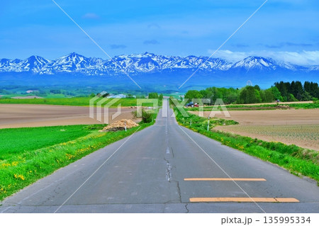 ジェットコースターの路 135995334