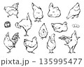 Set of chickens and rooster. Decorative bird hen silhouette 135995477