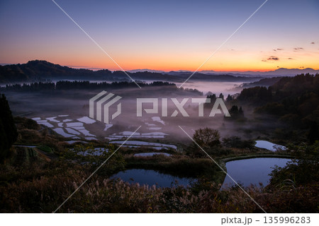 雲海に包まれる星峠の棚田と幻想的な朝焼け 135996283