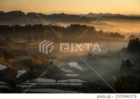 雲海に包まれる星峠の棚田と幻想的な朝焼け 135996579