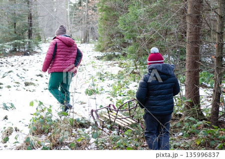 Winter woods walk, two figures and a sled. Winter woods walk, two figures and a sled. 135996837