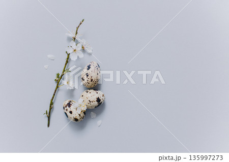 Beautiful branch with white blossom and eggs on a grey background. Minimal concept. Beautiful branch with white blossom and eggs on a grey background. Minimal concept. 135997273