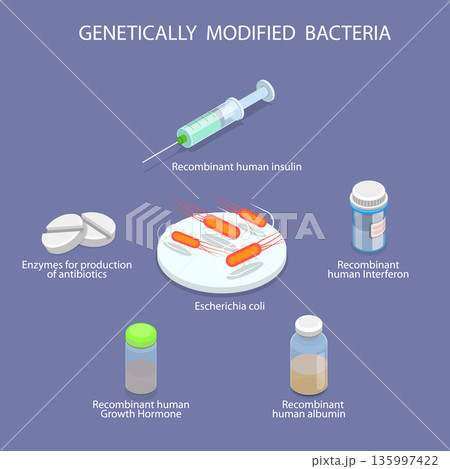 3D Isometric Flat Vector Illustration of Gene Engineering, Bacteria Enhanced Through Genetic Modification 3D Isometric Flat Vector Illustration of Gene Engineering, Bacteria Enhanced Through Genetic Modification 135997422