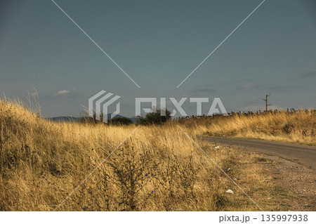 A road for summer travel on a sunny day in August 2025 A road for summer travel on a sunny day in August 2025 135997938