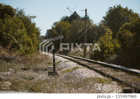 A road for summer travel on a sunny day in August 2025 A road for summer travel on a sunny day in August 2025 135997960