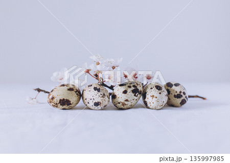 Beautiful branch with white blossom and eggs on a white background. Minimal concept. 135997985