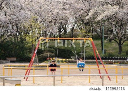 満開の桜の下でブランコをする子供達 135998418