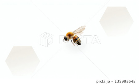 Bee and Honeycomb Banner for World Bee Day. AI generated image. 135998648