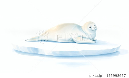 Seal Pup on Ice, International Day for the Protection of Seals, Wildlife Conservation Concept, banner with copy space. AI generated image. 135998657