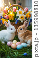 Two rabbits sit near colorful eggs and a flower basket during springtime celebration in a bright room with natural light 135998810