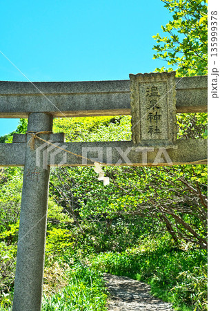 那須温泉神社 殺生石園地へつながる参道の鳥居(春、五月) 那須温泉神社 殺生石園地へつながる参道の鳥居(春、五月) 135999378