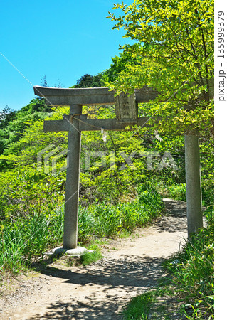 那須温泉神社 殺生石園地へつながる参道の鳥居(春、五月) 那須温泉神社 殺生石園地へつながる参道の鳥居(春、五月) 135999379