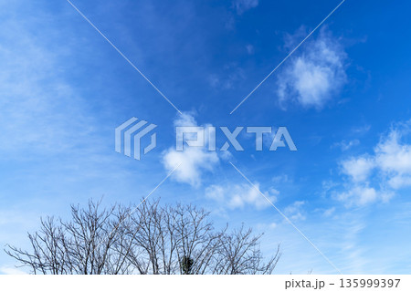 冬空と雲と木立 135999397