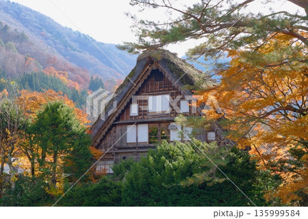 【岐阜県】白川郷にある合掌造りの民家と紅葉 【岐阜県】白川郷にある合掌造りの民家と紅葉 135999584