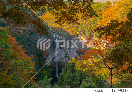 展望台から望む秋の福貴野の滝 展望台から望む秋の福貴野の滝 135999818
