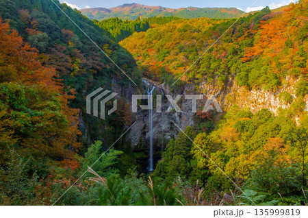 展望台から望む秋の福貴野の滝 135999819