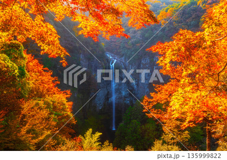 展望台から望む秋の福貴野の滝 展望台から望む秋の福貴野の滝 135999822