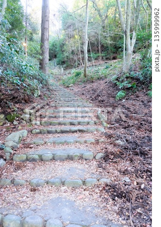 山頂へ向かう森林の参道風景 山頂へ向かう森林の参道風景 135999962