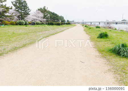 桜のある武庫川河川敷 136000091
