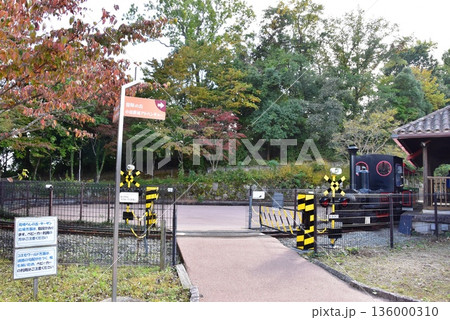 神奈川県 小田原こどもの森公園わんぱくらんどのこども列車エントランス広場駅と踏切 神奈川県 小田原こどもの森公園わんぱくらんどのこども列車エントランス広場駅と踏切 136000310