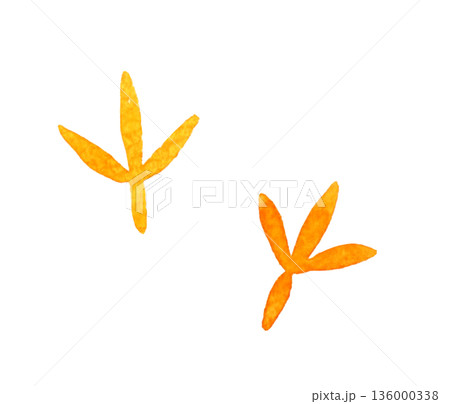 かわいい鳥の足跡　手描き水彩イラスト素材 136000338