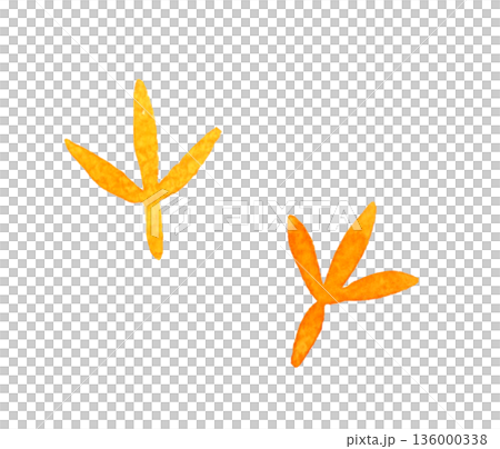 かわいい鳥の足跡　手描き水彩イラスト素材 136000338