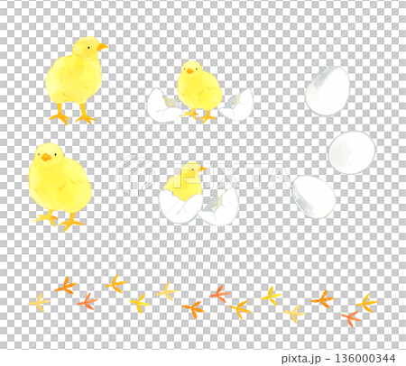 かわいいヒヨコと卵・足跡のセット 手描き水彩イラスト素材 かわいいヒヨコと卵・足跡のセット 手描き水彩イラスト素材 136000344