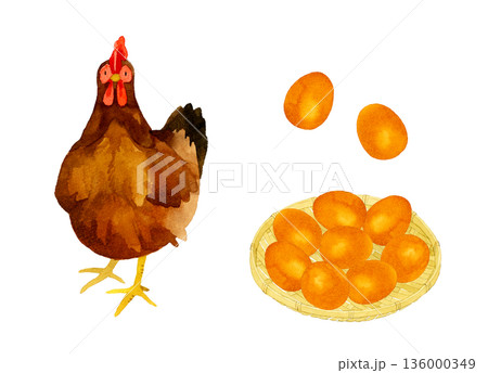 茶色のニワトリと鶏卵のセット　手描き水彩イラスト素材 136000349