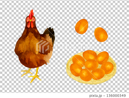 茶色のニワトリと鶏卵のセット　手描き水彩イラスト素材 136000349