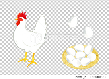 Set of white chickens and eggs - hand-drawn watercolor illustration 136000355