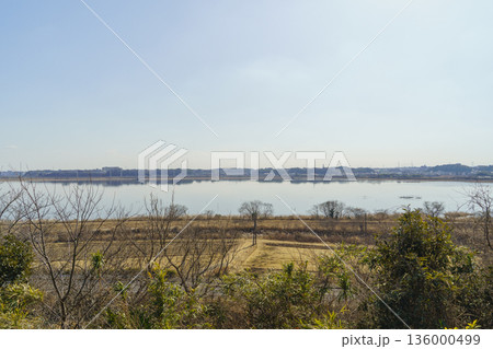 【千葉県】千葉県立印旛沼公園・展望台付近からみた印旛沼(西印旛沼) 136000499