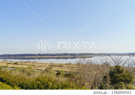 【千葉県】千葉県立印旛沼公園・展望台付近からみた印旛沼(西印旛沼) 【千葉県】千葉県立印旛沼公園・展望台付近からみた印旛沼(西印旛沼) 136000501