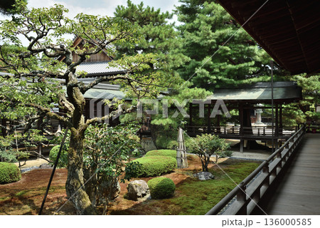 大覚寺　宸殿から見る庭園と村雨の廊下(京都市右京区) 136000585