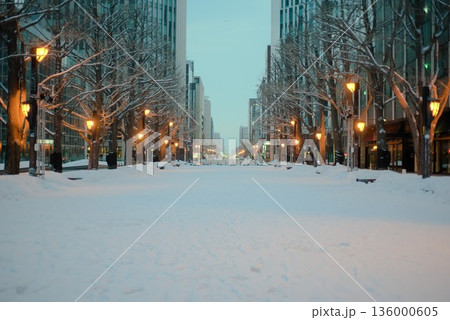 雪に包まれた都市の並木通りと冬の朝景色 雪に包まれた都市の並木通りと冬の朝景色 136000605