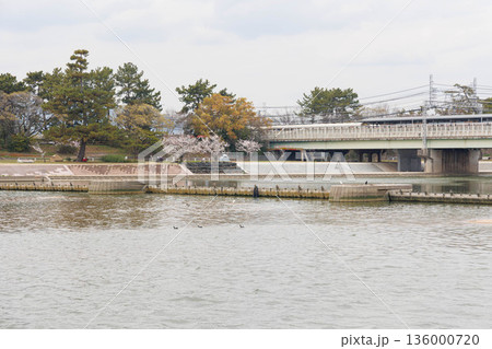 武庫川河川敷から見た風景 武庫川河川敷から見た風景 136000720