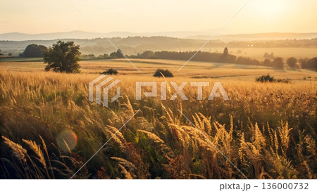 Cinematic Vertical View of a Sunlit Golden Meadow with Ethereal Lens Flares and Warm Film Textures 136000732